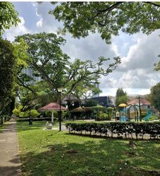 Taman Mas Merah (D5), Terrace #502225831